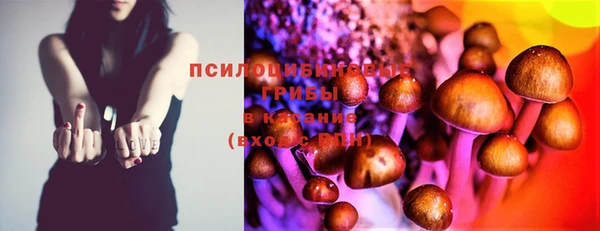 спиды Бронницы