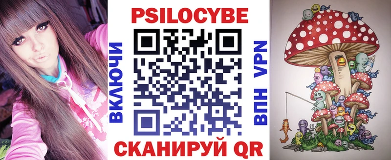 где продают наркотики  Вельск  Псилоцибиновые грибы мицелий 